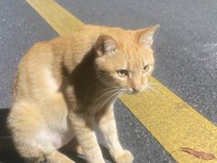 -红花湖景区