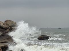 -众味海鲜大排档·活海鲜·潮汕味(南澳店)
