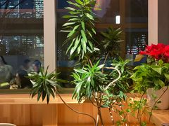 -人间酒暖·Go blanc·烧鸟·深夜食堂(陆家嘴店)