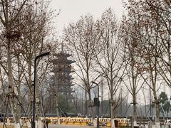 -洋湖国家湿地公园