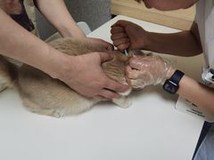 -谐和贝康宠物医院24小时·宠保定点(急重症转诊中心)