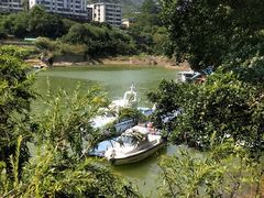 -广州市流溪河国家森林公园