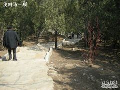 -北京鹫峰国家森林公园