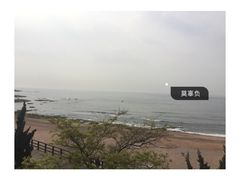 餐厅对面的大海-青岛海景花园大酒店·白果树餐厅青岛菜