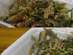 -陈添記·祖傳爽鱼皮·西关老字号(广州首店)
