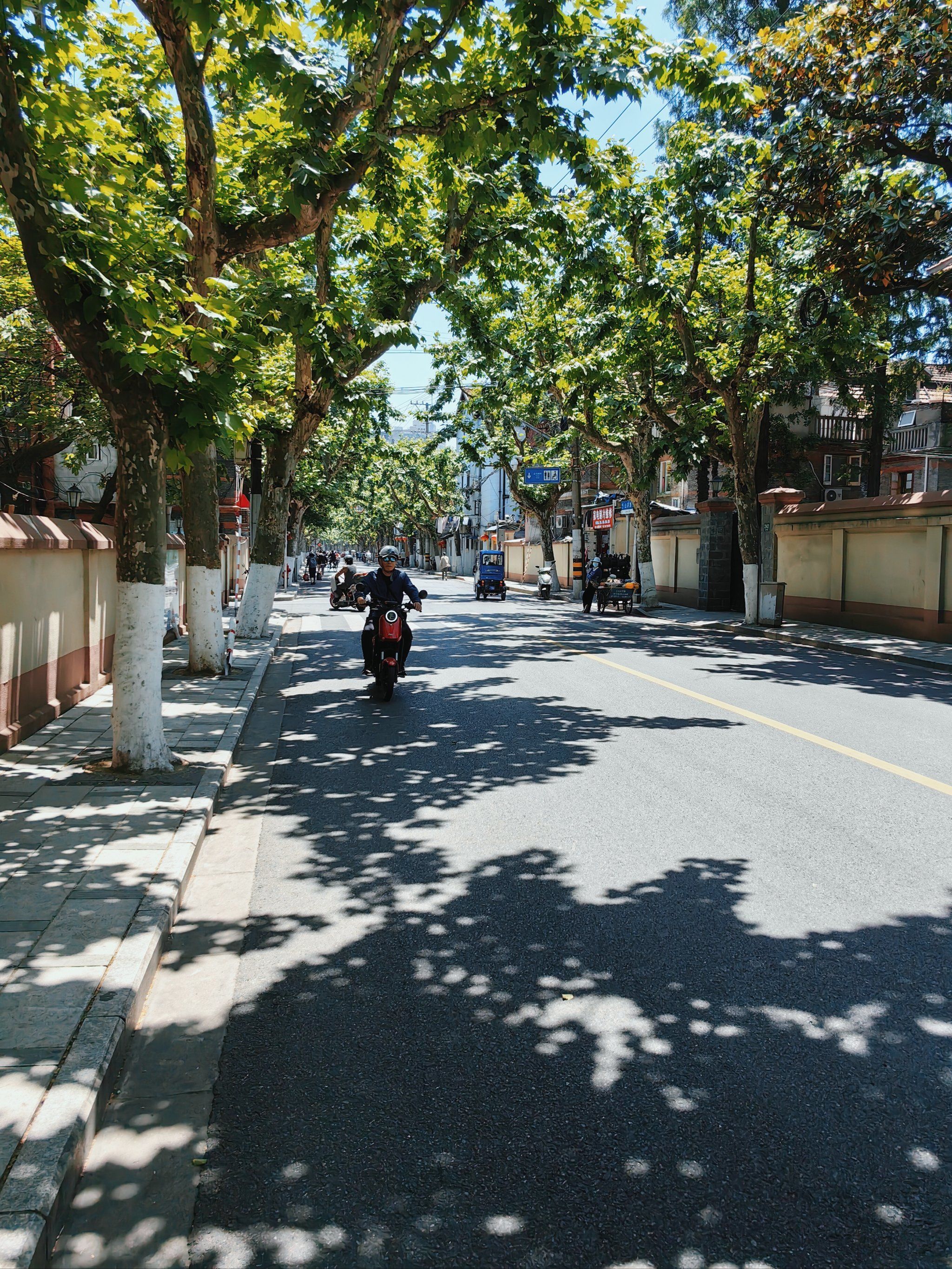 山阴路的夏天