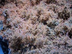 -湖南省地质博物馆