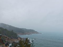 -广东惠东海龟国家级自然保护区