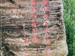 -邓小平故里