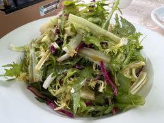 凉拌苦菊-天仁聚驴肉香(北石槽店)