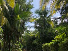 -三亚湾海居铂尔曼度假酒店