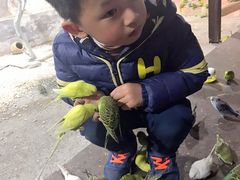 景点-嘉兴海底世界