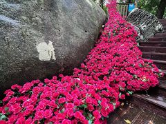-七仙岭温泉国家森林公园