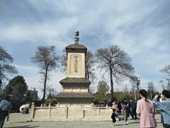 -西安青龙寺遗址景区