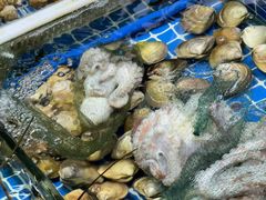 -霞涌市场海鲜摆卖区
