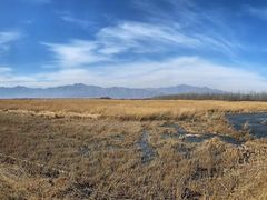 -野鸭湖国家湿地公园