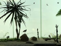 -北海海底世界