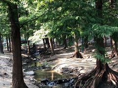 -白水寺森林公园