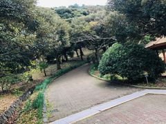-汉拿树木园