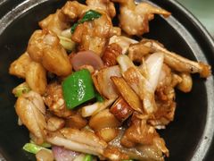 砂锅啫牛蛙煲-新旺茶餐厅(嘉里城店)