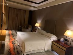 -西安赛瑞喜来登大酒店