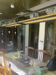 -青青一生美皮肤管理