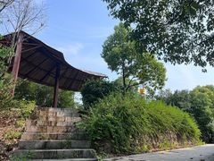 -云碧峰国家森林公园