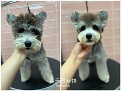 -FAELING PETS美天灵宠物(合生汇店)