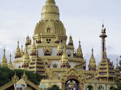 -桤木河湿地公园