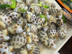 -贞姨美食·老字号海鲜大排档