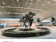 -青岛胶东国际机场
