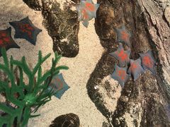 -沈阳海洋探索中心