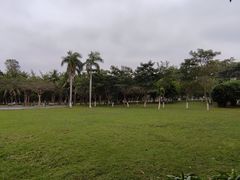 -万绿园