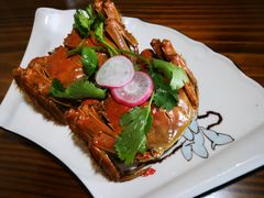 -呼吸森林·生态农庄农家乐私房菜