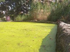 -成都市活水公园