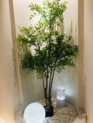 -VE专注问题肌·赛诺龙&科学美肤中心