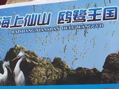 -海驴岛(荣成市)