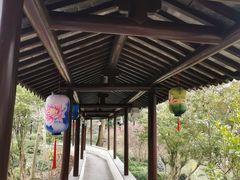 -上海醉白池公园