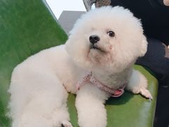 -铜锣湾·有麝自然香(长嘉汇购物公园店)