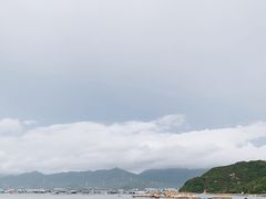 -东山码头