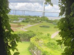 -芒洲湿地公园