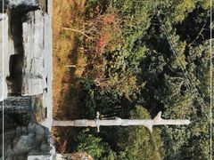-宁波野生动物园