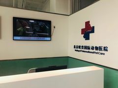 -欧奕国际动物医院