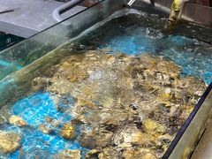 -凤城·食都