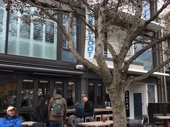 -Patagonia Chocolates(皇后镇店)