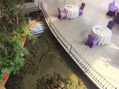 -九尊食上(生态园林酒店)