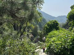 -泰山风景名胜区