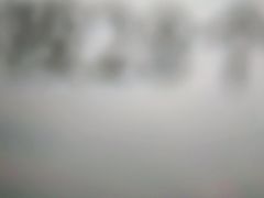 -吉野家(南昌铜锣湾店)