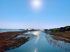 -苏州太湖国际会议中心