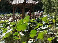 -上海滨江森林公园·停车场
